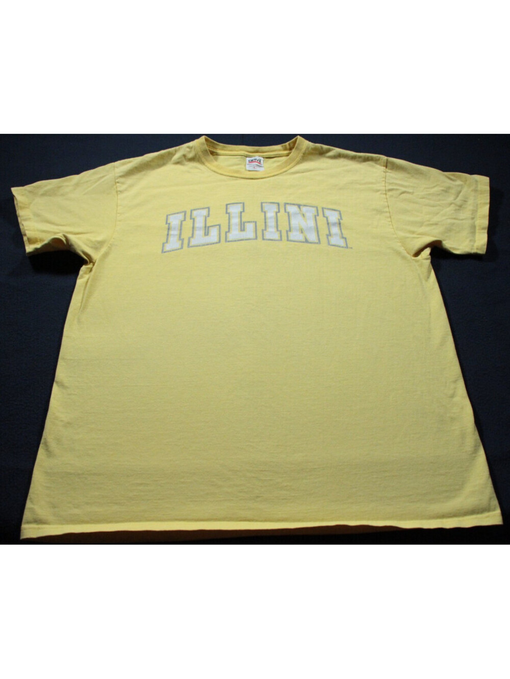 Vintage 00s University of Illinois Fighting Illini T-Shirt Anvil L Yellow